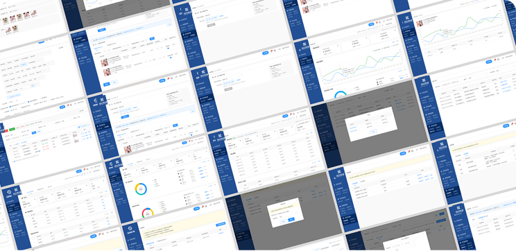 鑫苑（中國(guó)）置業(yè)全面財(cái)務(wù)預(yù)算系統(tǒng)